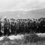 Ход и особенности боевых действий в предгорьях Кавказа с 1942 по 1943 г.