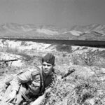 Ход и особенности боевых действий в предгорьях Кавказа с 1942 по 1943 г.